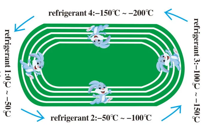 Small and Easy to Use Nitrogen Liquefier for Quick-Frozen